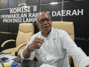 Soal Harga Singkong, Waka Komisi II Apresiasi Gubernur Lampung