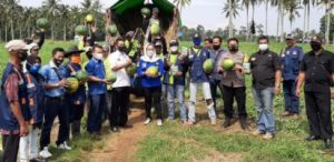 Anggota DPRD Provinsi Lampung Siti Rahmah Panen Raya di Pringsewu