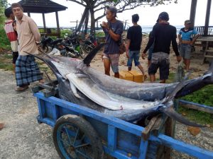 Nelayan Pesisir Barat Harapkan Pemerintah Daerah Bantu Alat Tangkap Ikan