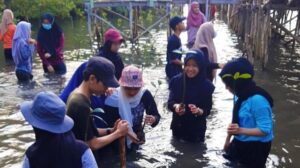 Peringati Hari Lingkungan Hidup Sedunia, Kemensoskes BEM KM Poltekkes Tanjungkarang Tanam Mangrove