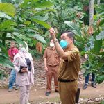 Kadis Perkebunan Lampung Melakukan Pembinaan dan Kunjungan ke PT. Olam