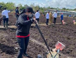 Puan Tanam dan Jajan Jagung Bareng Jokowi di Sorong Papua Barat
