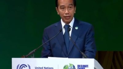 Ini Tiga Pandangan Presiden Jokowi dalam Menjadikan Hutan Bagian Aksi Iklim Global!