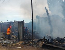 11 Kios dan 1 Rumah Di Pasar Tempel Pabrik Karet Ludes Terbakar