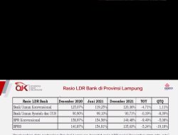 OJK Lampung Dorong Sektor Jasa Keuangan Lebih Aktif Lakukan Pembiayaan UMKM