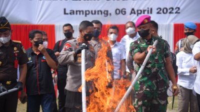 Musnahkan Narkotika Senilai Rp271,8 Miliar, Kapolda Lampung: 99 Persen Pelaku Kejahatan Pecandu