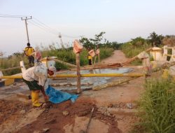 Tanggapi Keluhan Masyarakat, Dinas PUPR Mesuji Perbaiki  Akses Jembatan Jebol Penghubung Desa Tirtalaga -Sumber Makmur