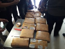 Digerebek Tersangka Kabur, Polisi Sita 8,5 Kg Ganja