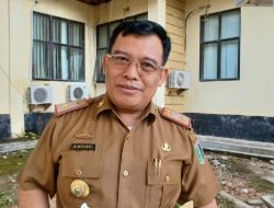 Lamtim Larang Sapi Betina Produktif Dijadikan Hewan Qurban
