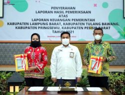 Ketua DPRD Hadiri Peraihan Gelar ke-8 WTP Kabupaten Tuba dari BPK RI