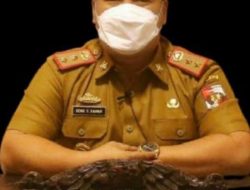 Kadiskominfo Lampura Klarifikasi Soal Pembayaran Kerjasama Media 