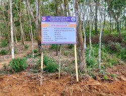 APBDes Tahun 2022,Desa Mukti Karya Bangun Jalan Usaha Tani