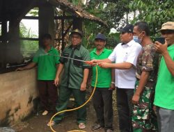 Akademisi Peternakan Universitas Lampung Giat Desinfeksi Kandang Sapi