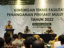Pemprov Lampung Gelar Bimbingan Teknis Penanganan PMK