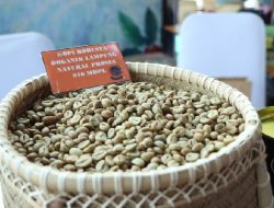 Kopi Lampung Begawi 2022 di Jakarta Ajang Memperluas Pasar Olahan IKM Lampung
