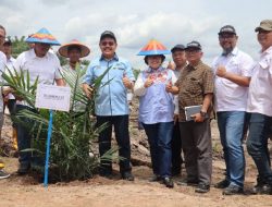 PTPN VII Betung Krawo Tanam Perdana Kelapa Sawit