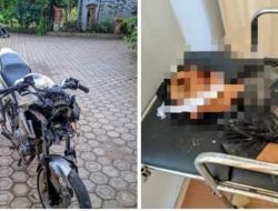 Kecelakaan Motor Vixion Vs Mobil Truk Adu kambing Satu Orang Warga Tubaba Tewas