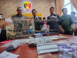 Polisi Gagalkan Perdagangan Gelap Satwa Dilindungi