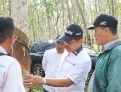 PTPN VII Terapkan Pola Premi Memacu Produktivitas Pendap