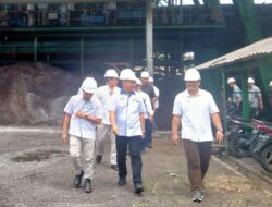 PTPN VII Unit Talopino Kejar Produktivitas TBS 28 Ton Per Hektare