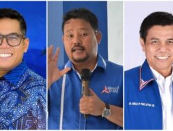 Ini Dia Caleg Andalan Partai Demokrat di Sumatera Utara!