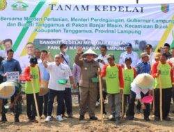 Gubernur Arinal Bersama Mentan dan Mendag Lakukan Gerakan Tanam Kedelai di Tanggamus