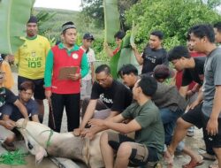 Warga Perumahan Sakura Residence Kurban Satu Ekor Sapi dan 6 Kambing