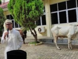 Idul Adha: Golkar Lampung Sembelih Belasan Hewan Kurban