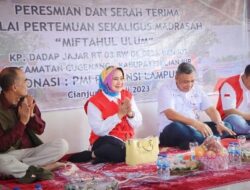 Riana Sari Serahkan Bantuan Korban Bencana Alam di Cianjur