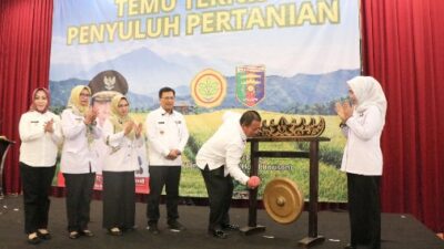 Penyuluh Harus Bersinergi dan Bangun Pertanian Berbasis Teknologi