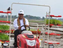 Swasembada Pangan, Kementan Siapkan 50 Ribu Hektare Lahan Rawa Jaga Produktivitas