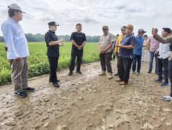 Cek Jalan Rusak, Pj Bupati Pringsewu Marindo Kurniawan Langsung Cari Solusi