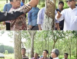 Pemkab Tubaba dan Muhammadiyah Buka Investasi Bagi Mercu Biotech Group