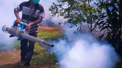 Hati-Hati! Kasus DBD Masih Naik