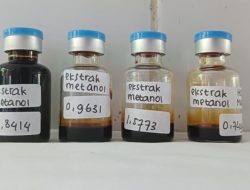 Tim PKM-RE Dipterocarpaceae Inovasi Alternatif Bahan Obat Antidiabetes dan Antikanker dari Kulit Kayu
