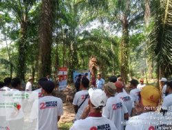 Partai Prima Ajak Masyarakat Pilih Mirza-Jihan, Tolak Golput dan Lawan Politik Uang