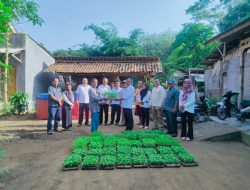 Program K3W di Tiyuh Marga Asri Berdampak Positif Bagi Masyarakat