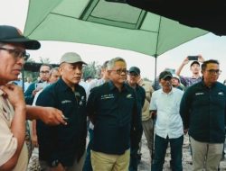 Akselerasi PSR, Rekomtek Petani Binaan PTPN IV PalmCo tembus 13 Ribu Ha Setahun