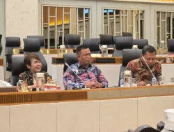 Budhi Condrowati Minta Langkah Konkrit Pemerintah Pusat Terkait Harga Singkong