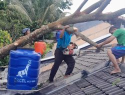 BPBD Kota Bandar Lampung Tangani Pohon Roboh yang Timpa Rumah Warga