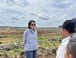 Dukungan PalmCo untuk Kartini Masa Kini, Berkarir di Perkebunan Bukan Sekadar Mimpi