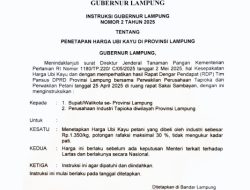 Puluhan Pabrik Singkong Lampung Ikuti Instruksi Gubernur, Sisanya Menyusul