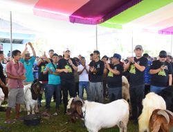 Dorong Penguatan Sektor Peternakan, Pemkab Tubaba Gelar Kopdar dan Lomba Bobot Kambing “Bolo Ngarit”
