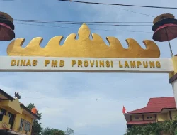 Pernyataan Saipul Soal Jabatan Plt PMDT Lampung Dinilai Blunder, Jadi Bumerang Sendiri