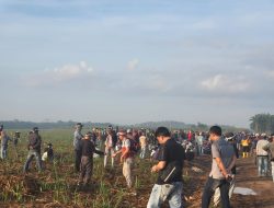 Kalah di MA, Warga Kuasai Lahan PT BSA