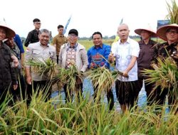 Panen Raya Trimurjo: Lampung Siap Jadi Garda Pangan Nasional