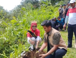 PTPN I Tanam Dua Ribu Pohon di Kaki Gunung Salak Lanjutkan Program Sejuta Pohon