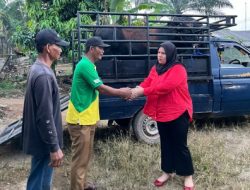 Ferliska Ramadita Johan Berikan Hewan Qurban untuk Desa Raman Fajar
