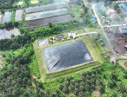 PTPN IV: Rp150 Ribu Bisa Beli Karbon Selamatkan Lingkungan