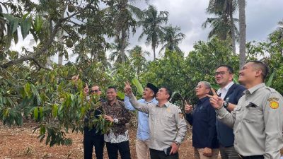 PTPN I Regional 7 Siap Laksanakan Program Hilirisasi Perkebunan